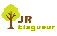 elagage-jr-elagueur